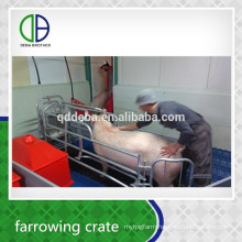 Hot Galvanzie Factory Supply Durable Quality Farrowing Pens For Pigs